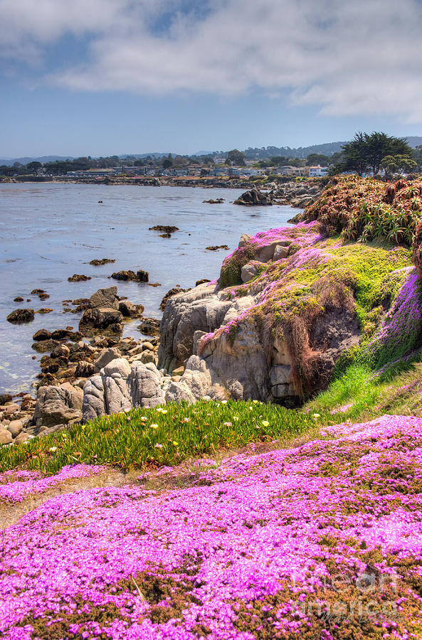 Monterey Bay #1 Photograph by Mark Dahmke