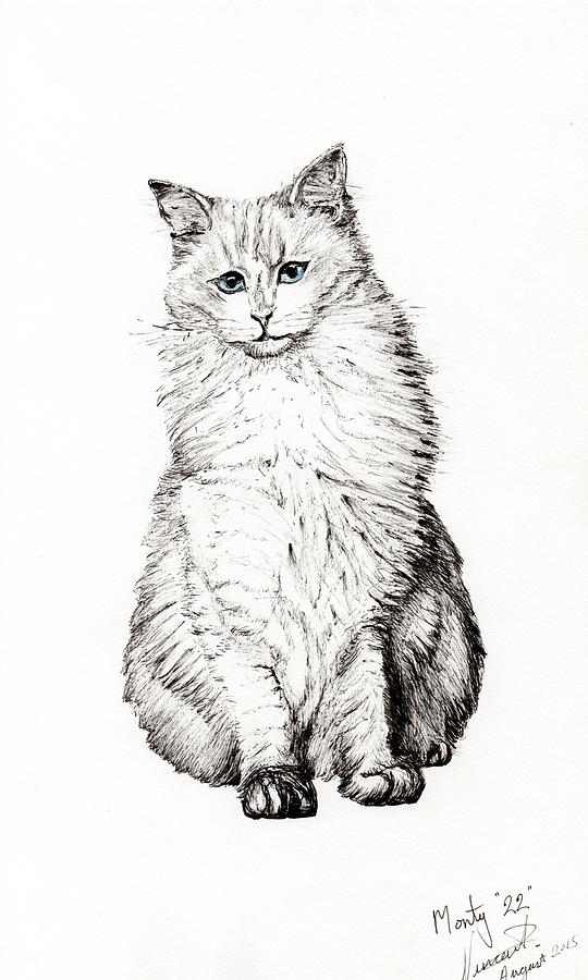 Cat Painting - Monty by Vincent Alexander Booth