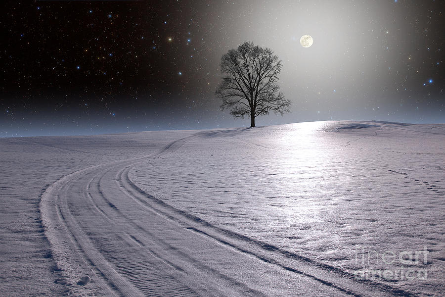 Moon And Tree #1 Photograph by Larry Landolfi