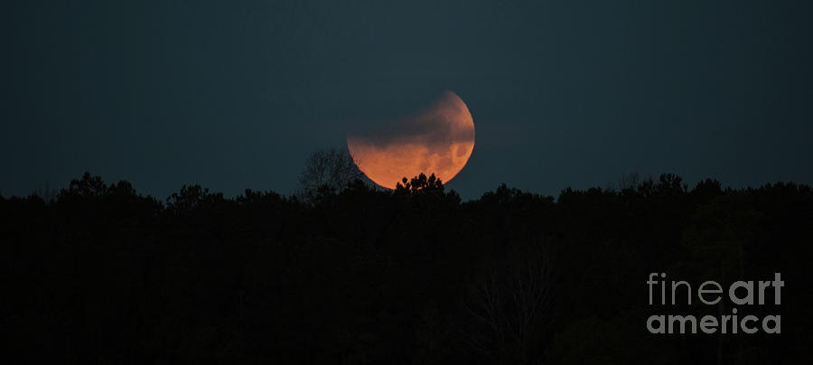 Moon Dance #1 Photograph by Dale Powell