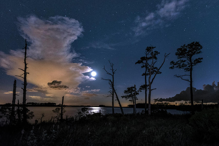 Moon Over Blackwater #1 Photograph by Robert Fawcett