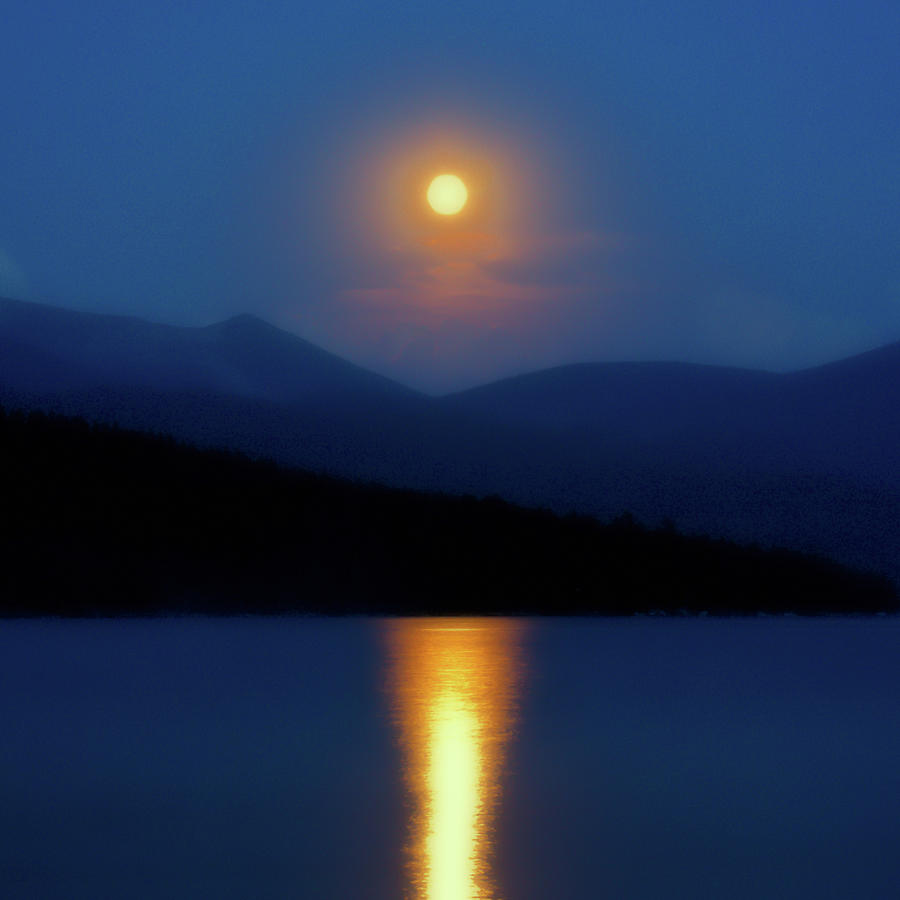 Tree Photograph - Moon Over Priest Lake #1 by David Patterson
