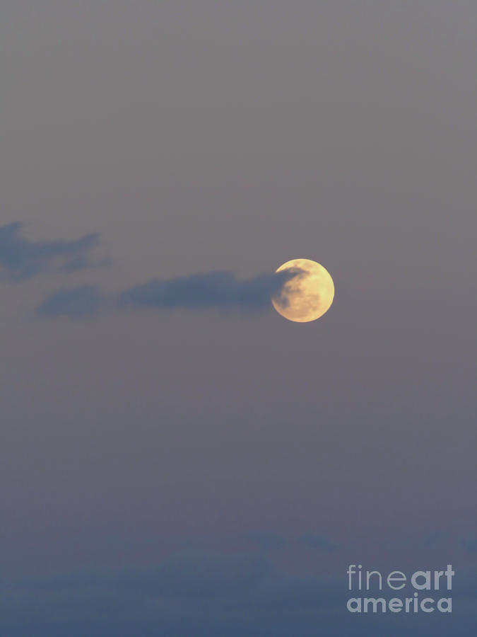 Moon - Rise #1 Photograph by D Hackett