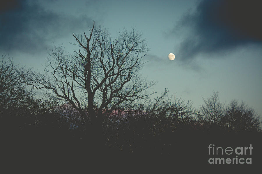 Moon Rise Landscape #1 Photograph by Cheryl Baxter