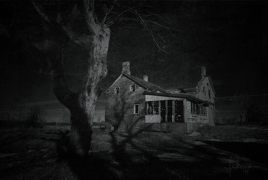 Moonlight #1 Photograph by Jim Vance