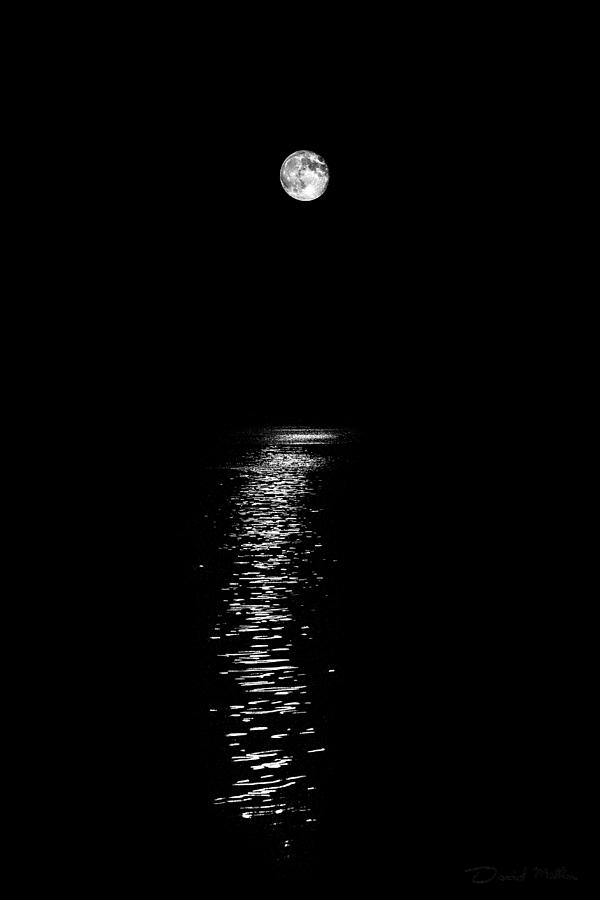 moonlight and water