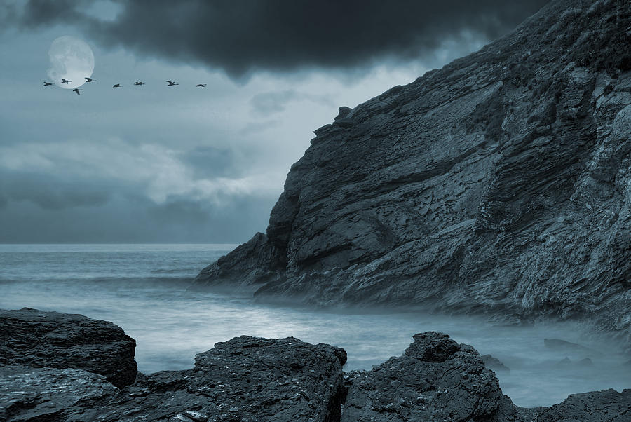 Bird Photograph - Moonlit Ocean #1 by Jaroslaw Grudzinski
