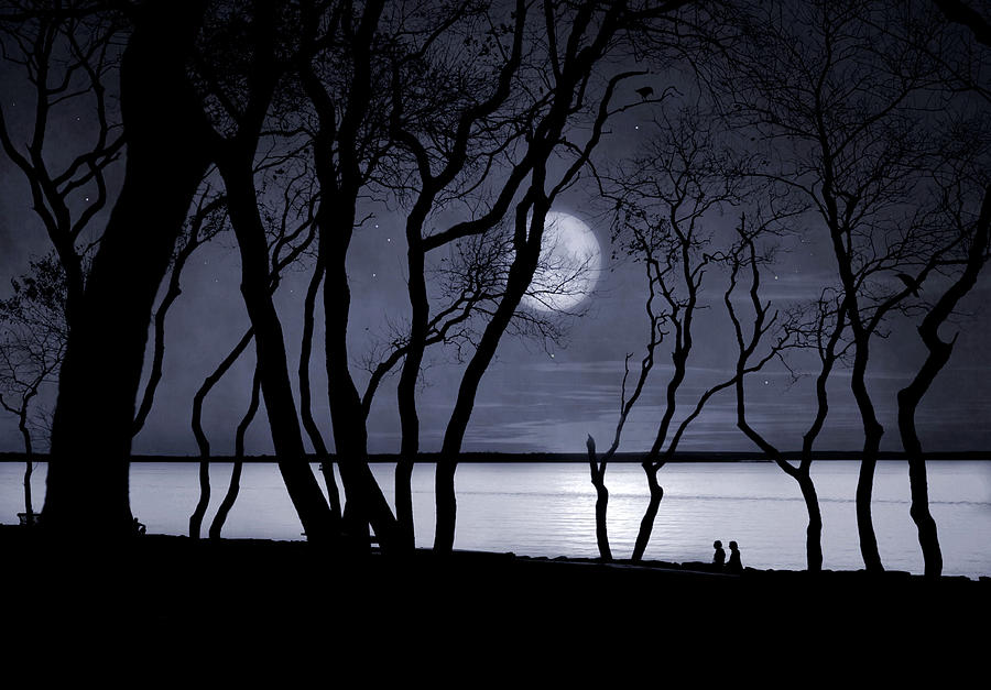 Moonlit Stroll #1 Photograph by Robin-Lee Vieira
