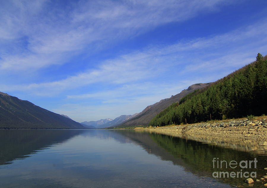 Moose Lake Photograph - Moose Lake #1 by Eva Lechner