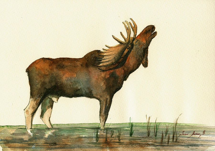 Moose Painting - Moose watercolor painting. #1 by Juan  Bosco