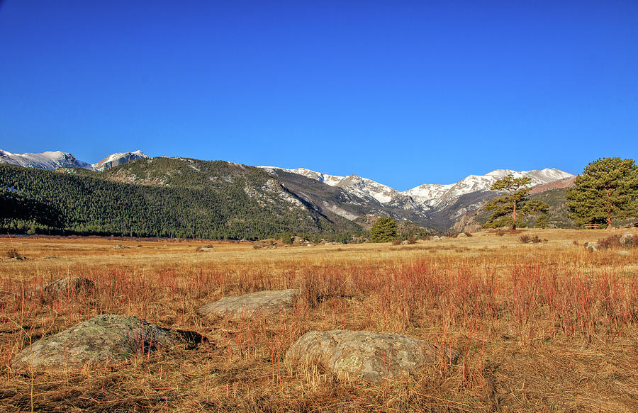 Moraine Park in Rocky Mountain National Park #1 Photograph by Peter Ciro