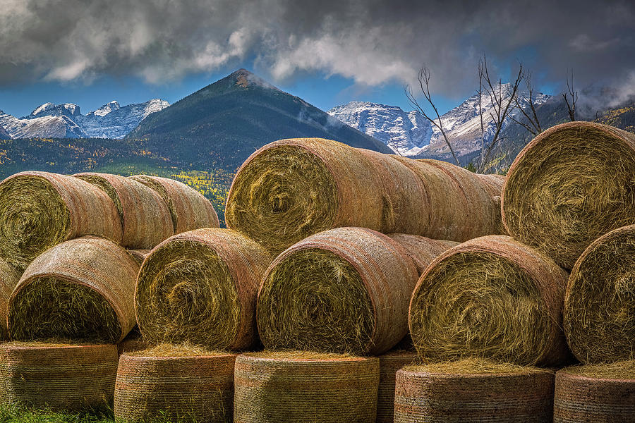 More Hay #1 Photograph by Gary Benson