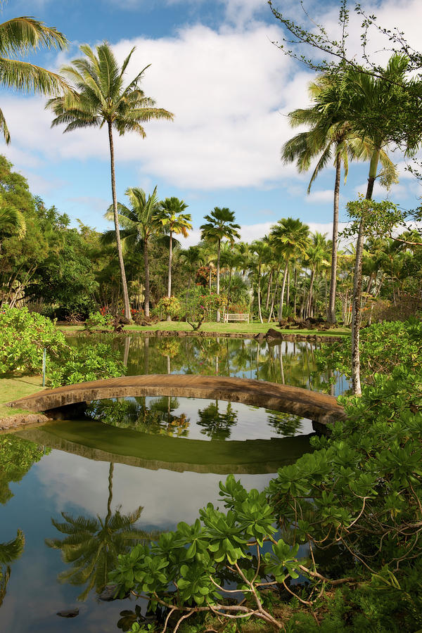 Morning Calm In The Na Aina Kai Botanical Garden Photograph By