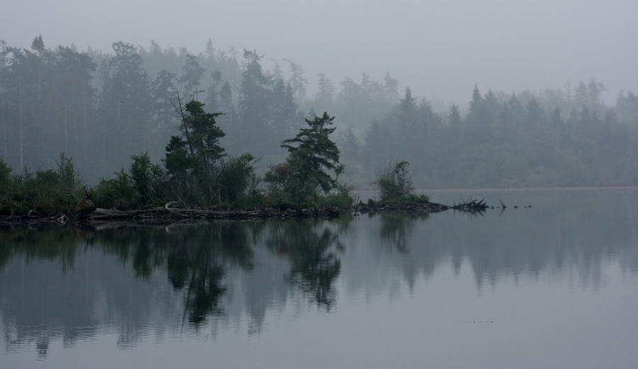 Morning Fog over Cranberry Lake #1 Photograph by Angie Schutt