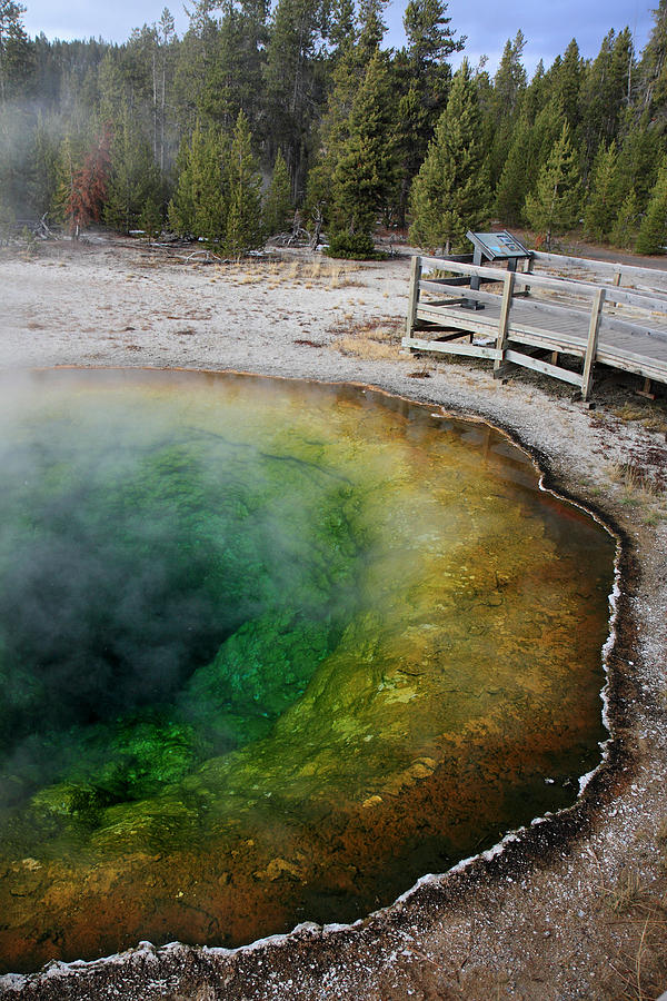Morning Glory Yellowstone #1 Photograph by Pierre Leclerc Photography