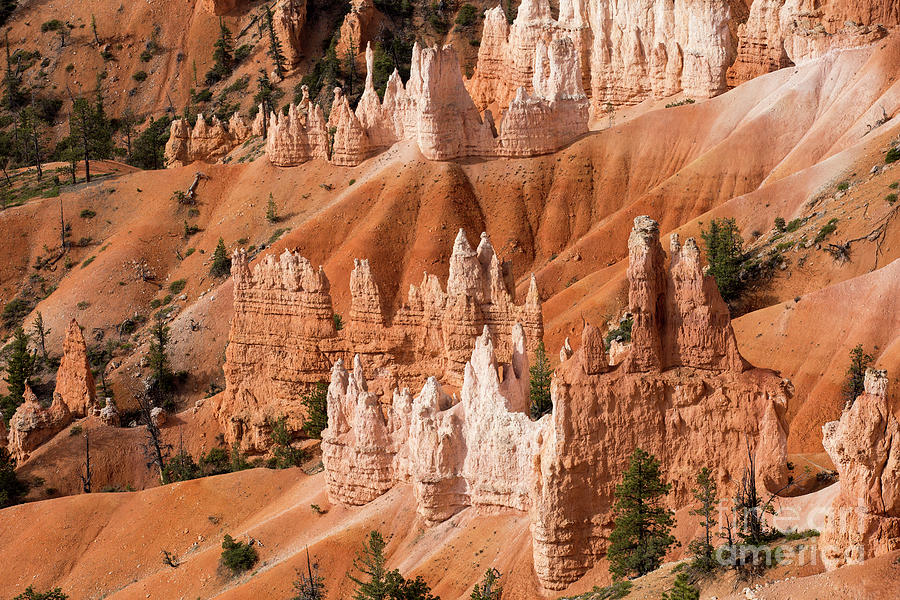 Morning in Bryce Canyon #2 Photograph by Agnes Caruso