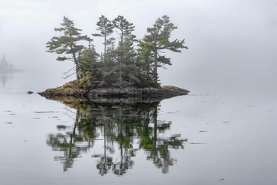 Morning In Maine #1 Photograph by Robert Fawcett