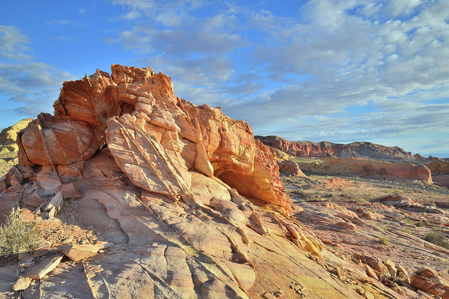 Morning Light on Valley of Fire #1 Photograph by Ray Mathis
