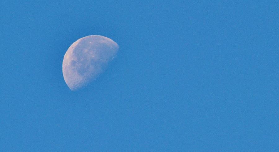 Morning Moon #1 Photograph by Eileen Brymer