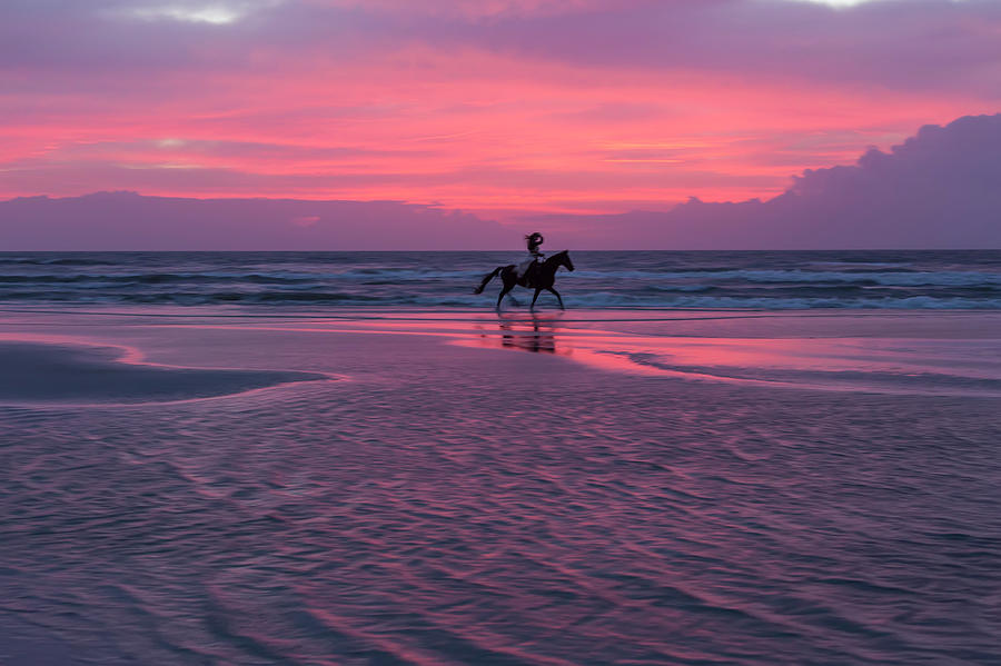 Horse Photograph - Morning Rider #1 by Janet Fikar