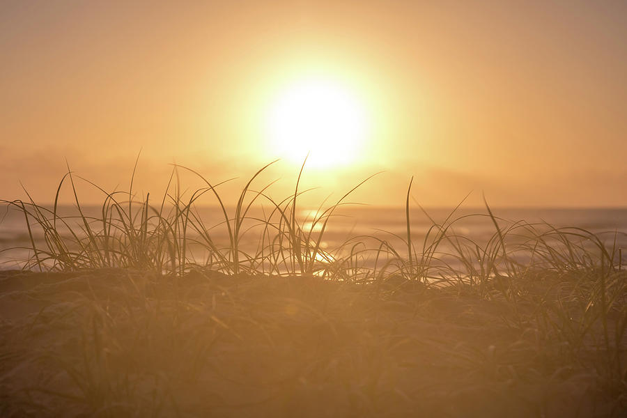 Beach Photograph - Morning Sun by Az Jackson