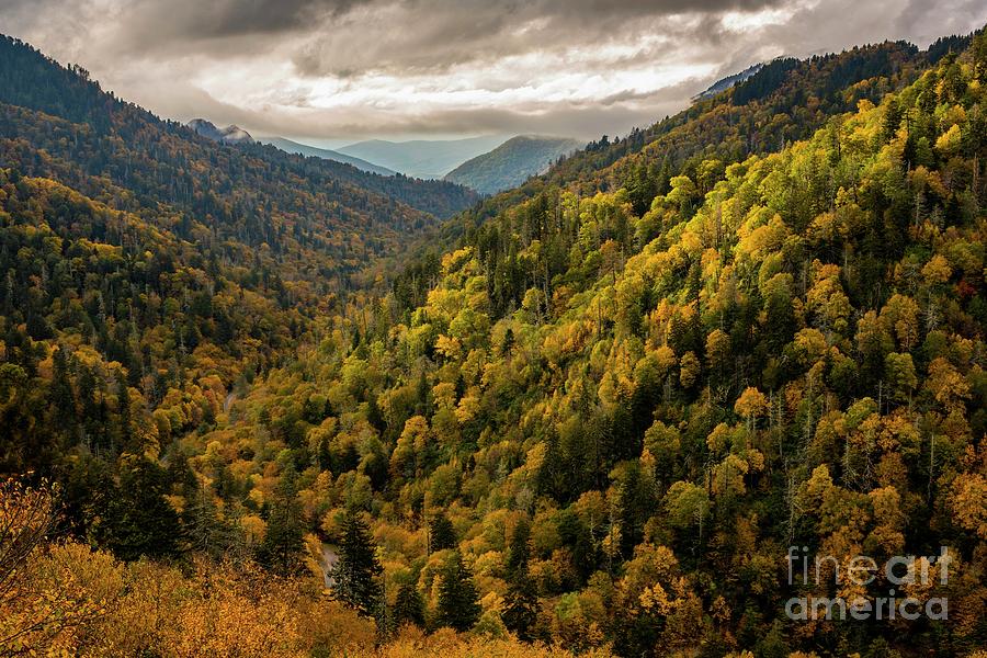 Morton Overlook In Great Smoky Mountains National Park Photograph