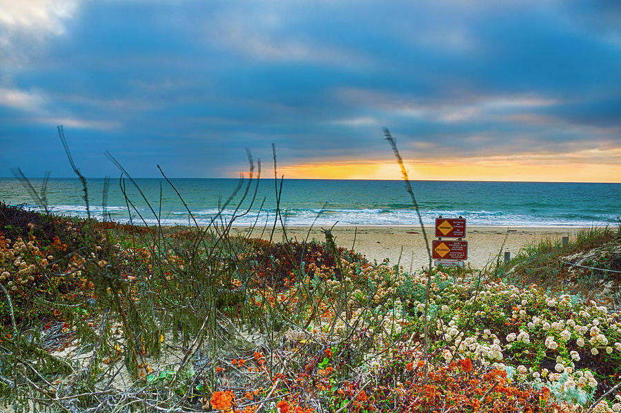 Moss Landing Beach Sunset #1 Photograph by Donald Pash