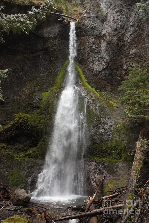 Mossy Waterfall #4 Photograph by Carol Groenen