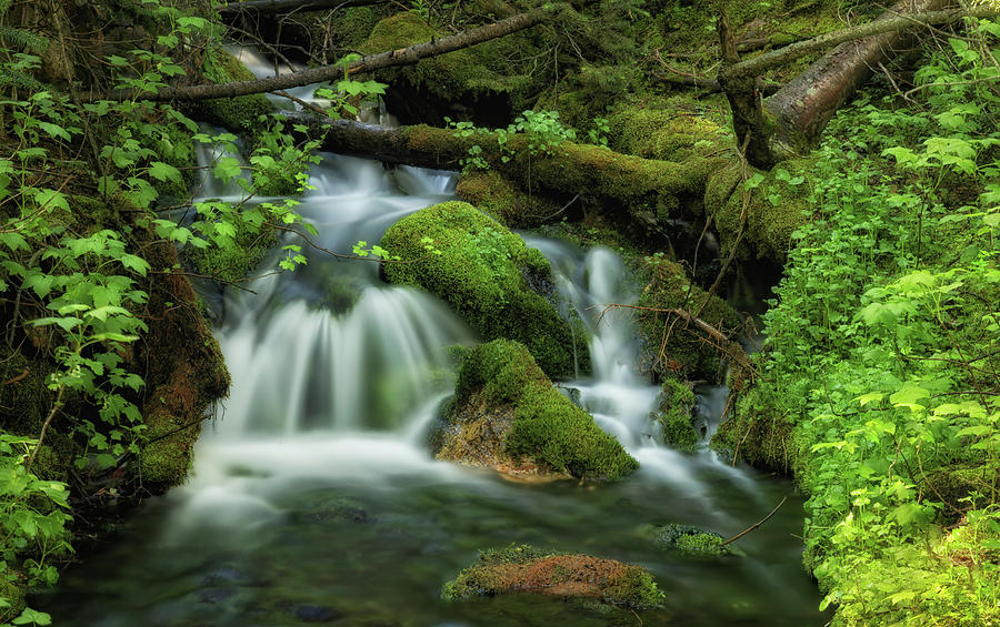 Mossy Waterfall Photograph by Mitch Johanson - Fine Art America