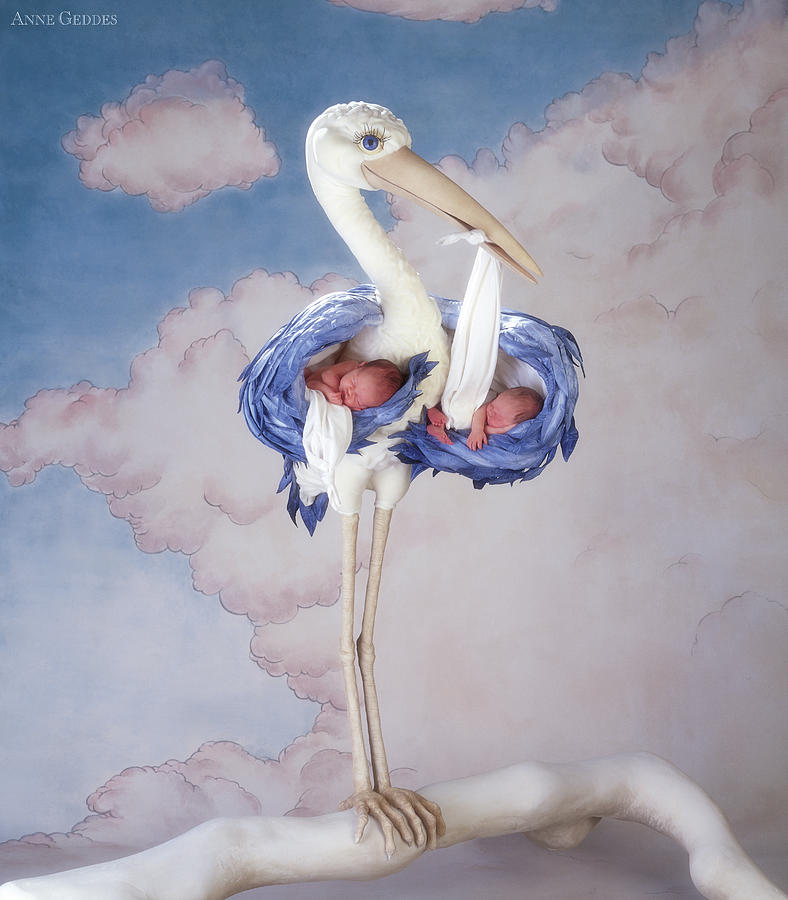 Stork Photograph - Mother Stork by Anne Geddes