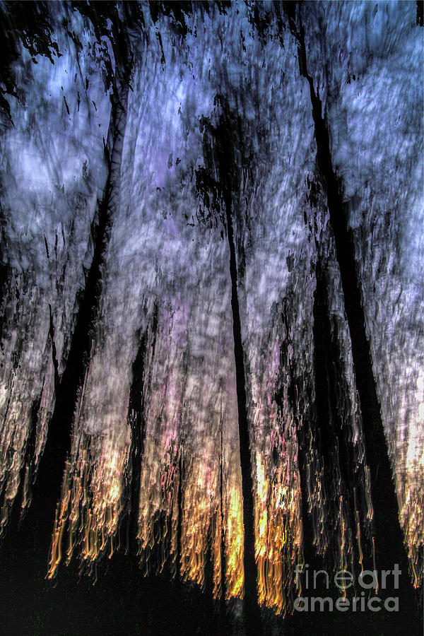 Motion blurred trees in a forest #1 Photograph by Vladi Alon