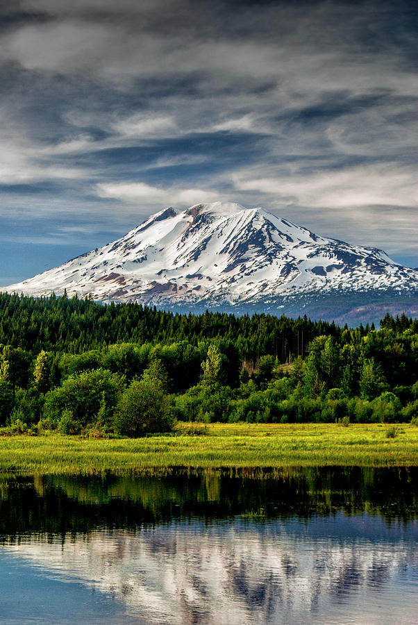 Mt Adams Living