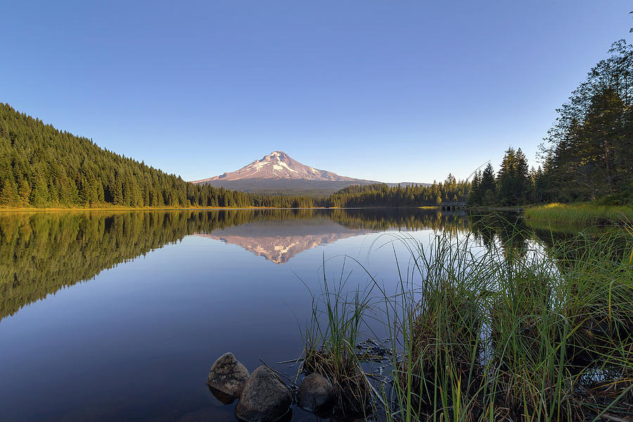 Mount Hood at Trillium Lake Photograph by David Gn - Fine Art America