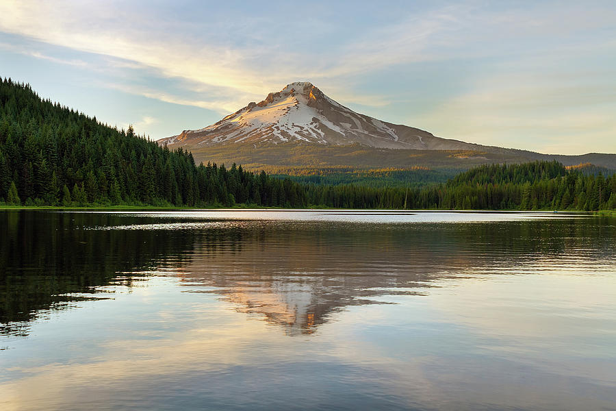 Mount Hood Reflection on Trillium Lake #2 Photograph by David Gn