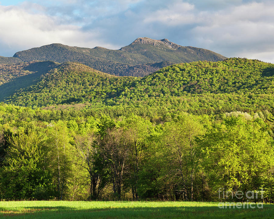 Mount Mansfield Spring #1 Photograph by Alan L Graham