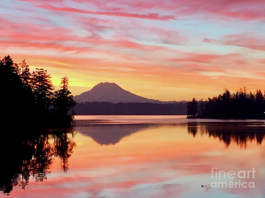 Nature Photograph - Mount Rainier Dawn #3 by Sean Griffin