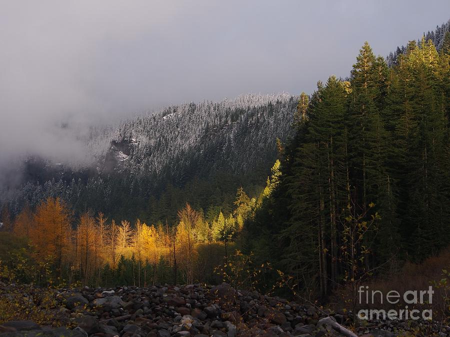 Mount Rainier National Park In the Fall Photograph by Jacklyn Duryea Fraizer