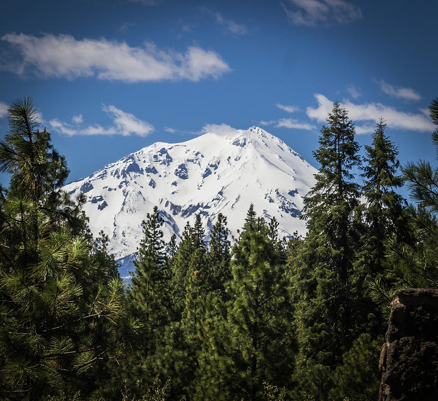 Mount Shasta #1 Photograph by Elaine Webster