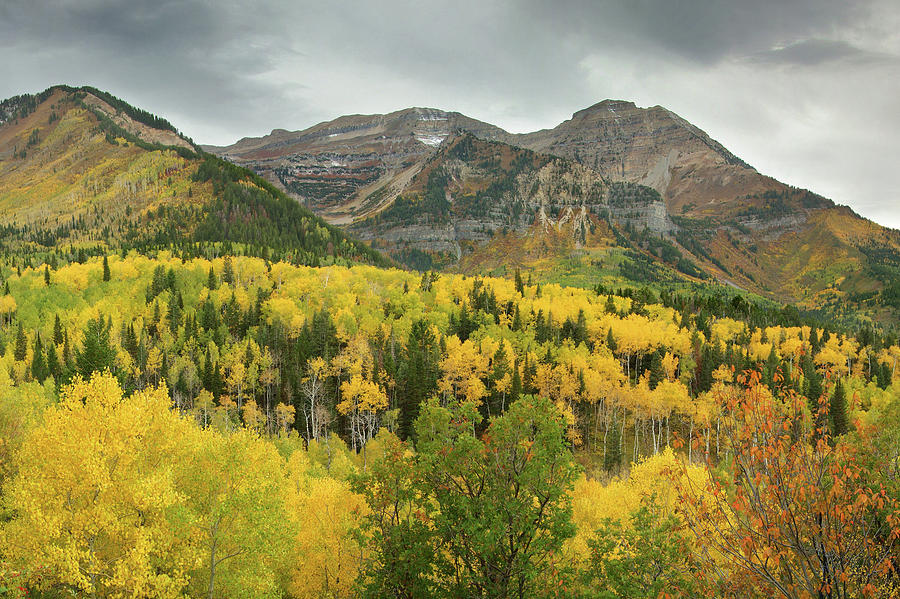 Mount Timpanogos Fall Colors Photograph by Dean Hueber - Fine Art America