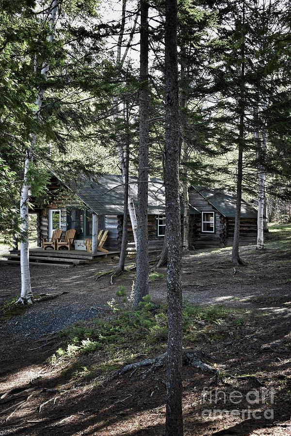 Mountain Cabin #1 Photograph by Skip Willits