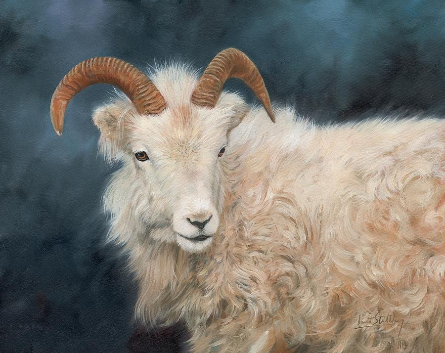 Mountain Painting - Mountain Goat #1 by David Stribbling