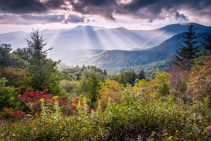 Mountain Majesty #2 Photograph by Rob Travis