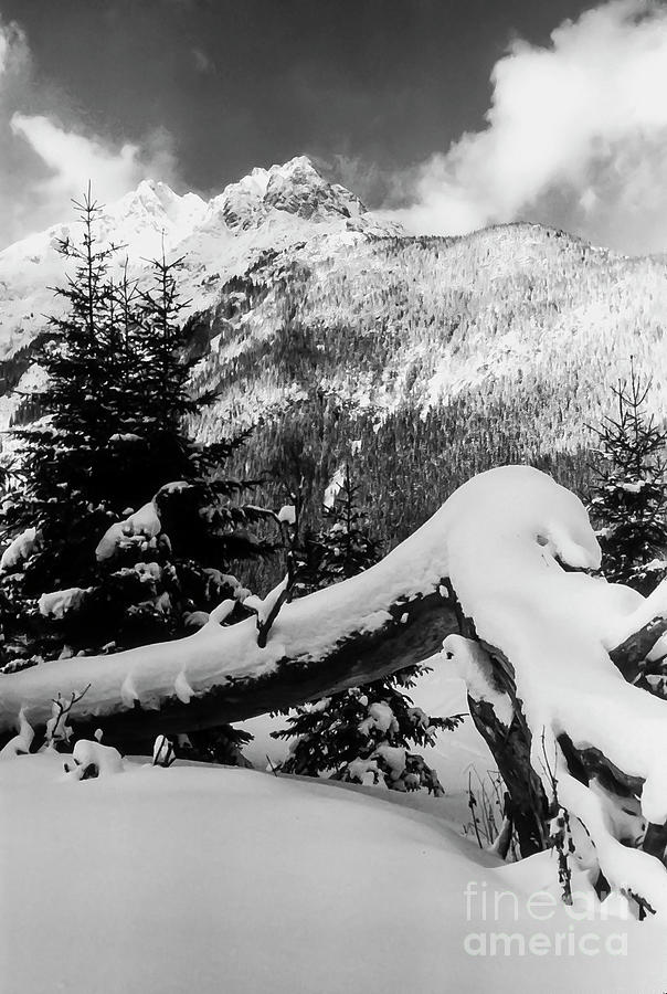 Mountain Snow 2 Photograph by Bob Phillips