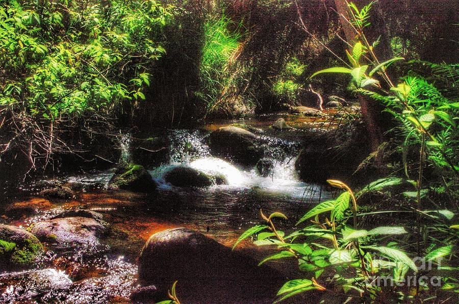 Mountain Stream #1 Photograph by Blair Stuart