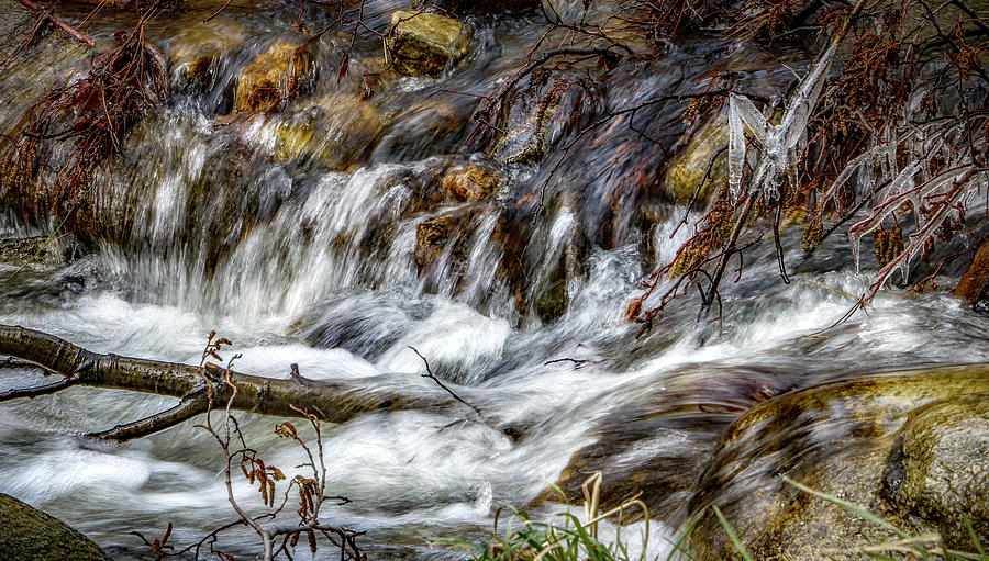 Mountain Stream #1 Photograph by Elaine Malott