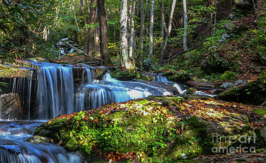 Waterfall Photograph - Mountain Stream Falls #1 by Tom Claud