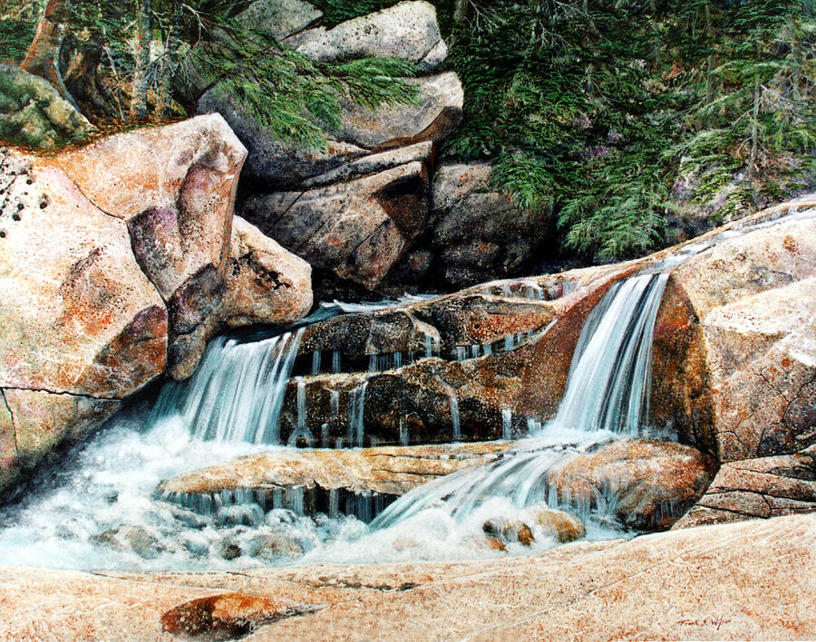 Mountain Stream Painting by Frank Wilson