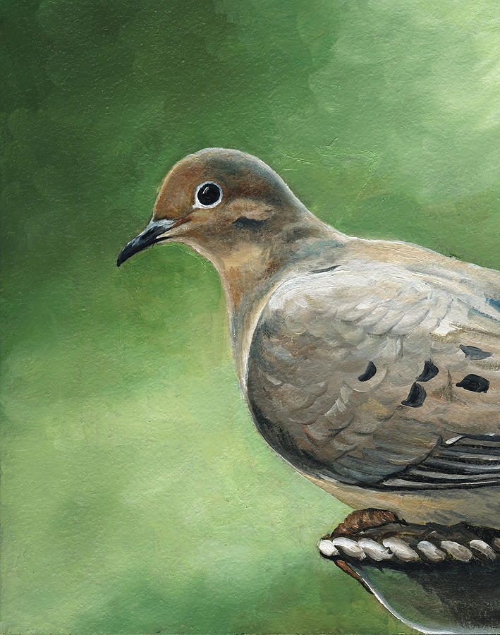 Mourning Dove #1 Painting by Charlotte Yealey