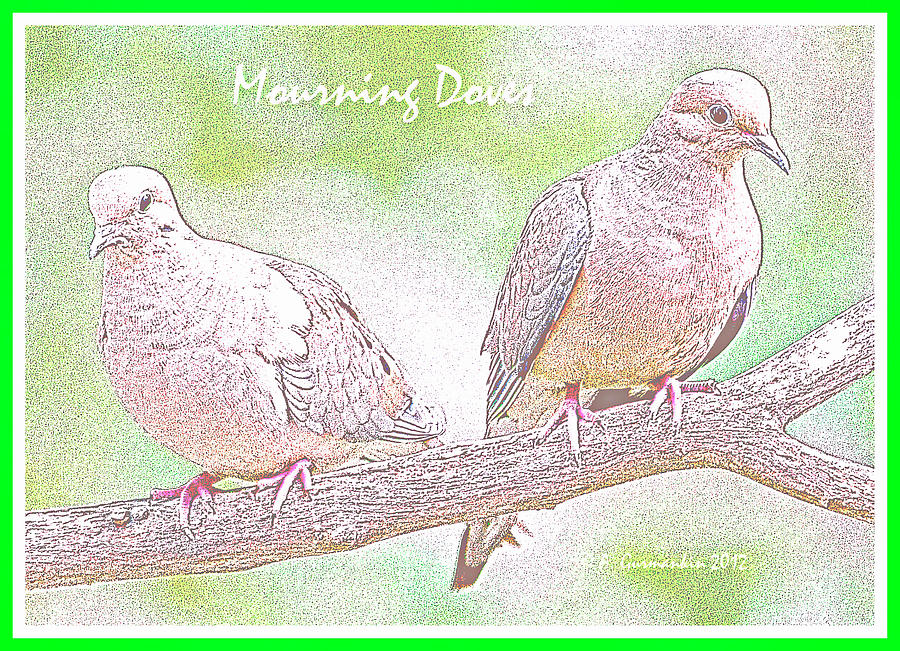 Mourning Dove Pair Poster Image #1 Digital Art by A Macarthur Gurmankin