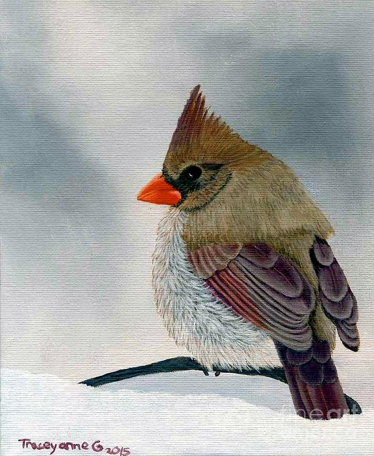 Mrs. Cardinal by Tracey Goodwin Mrs. Cardinal by Tracey Goodwin